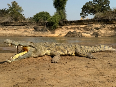 Muchinga-Trophy-pics-2024_13-th.jpg