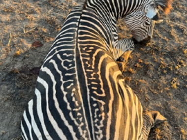 Muchinga-Trophy-pics-2024_14-th.jpg