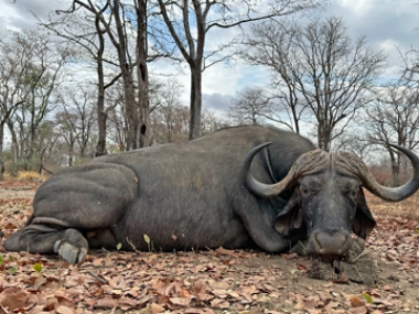 Muchinga-Trophy-pics-2024_2-th.jpg