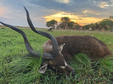 Muchinga-Trophy-pics-2024_3-th.jpg