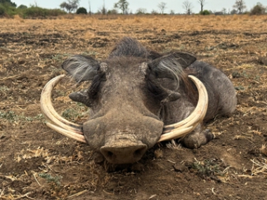 Muchinga-Trophy-pics-2024_4-th.jpg