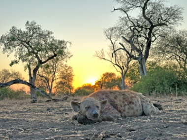 Muchinga-Trophy-pics-2024_5-th.jpg