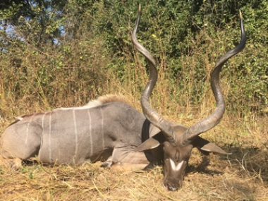 Muchinga-gallery-14-th.jpg