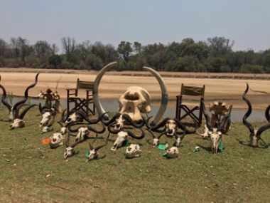 Muchinga-gallery-23-th.jpg
