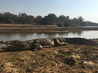 Muchinga-gallery-27-th.jpg