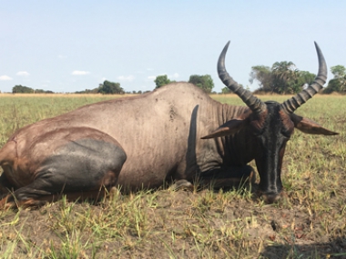 Muchinga-gallery-3-th.jpg