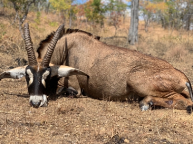 Muchinga-gallery-5-th.jpg