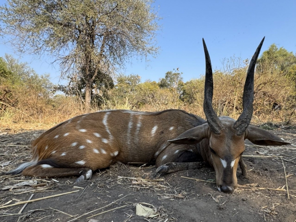 MuchingaHuntingSafaris-004-th.jpg