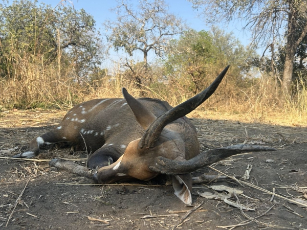 MuchingaHuntingSafaris-007-th.jpg