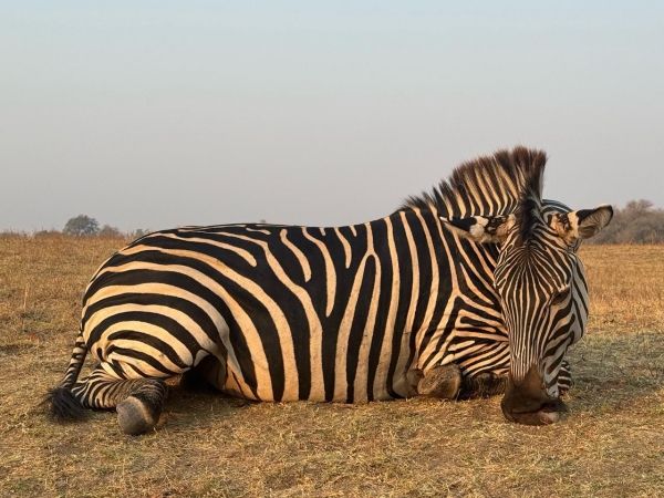 MuchingaHuntingSafaris-012-th.jpg