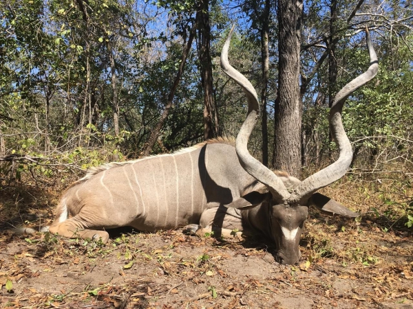 MuchingaHuntingSafaris-019-1-th.jpg