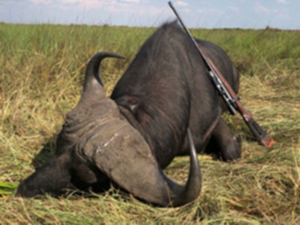muchinga-trophy-pics-2024_17-th-1-1.jpg